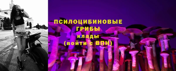 не бодяженный Дмитровск