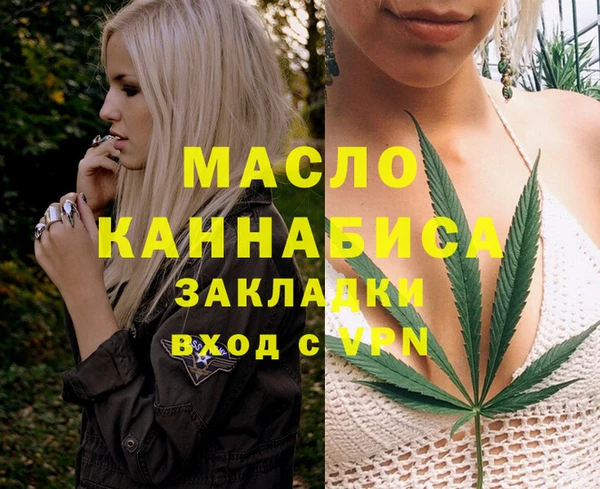 гидра Гусев