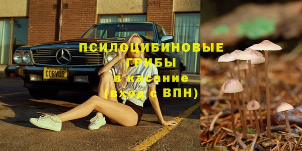 молекула духа Дмитров
