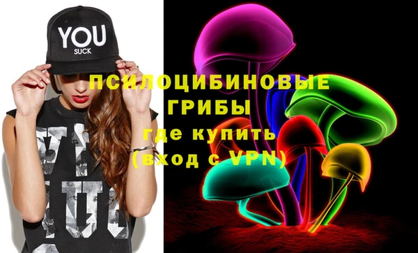 не бодяженный Дмитровск