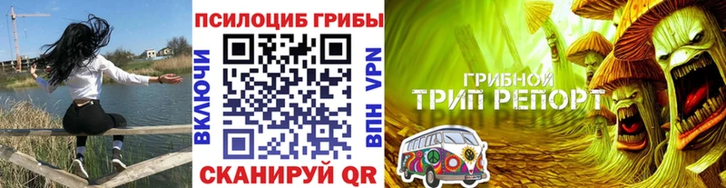 хочу наркоту  Опочка  кракен ССЫЛКА  Галлюциногенные грибы Psilocybe 